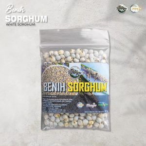Benih Sorghum (5 PEK)