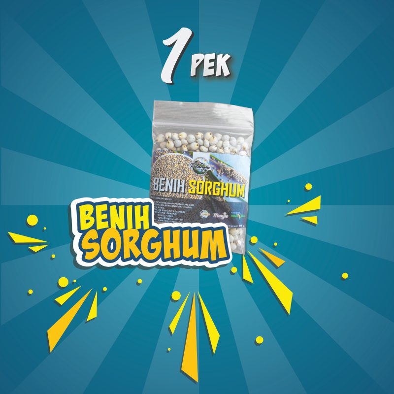 Benih Sorghum (1 PEK)