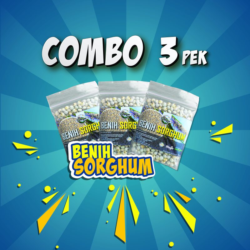 Benih Sorghum (3 PEK)