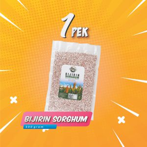 Bijirin Sorghum (1 PEK)